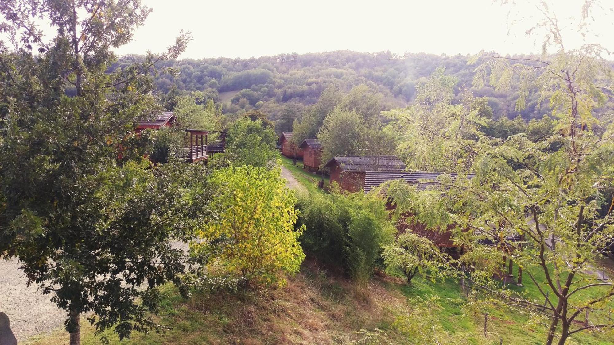 Villa La Ferme Du Duzou à Saint-Cyprien-sur-Dourdou Extérieur photo