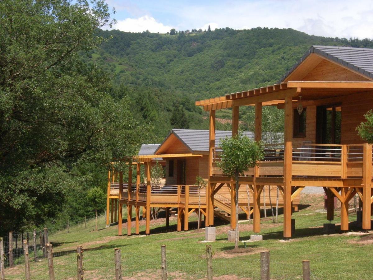 Villa La Ferme Du Duzou à Saint-Cyprien-sur-Dourdou Extérieur photo