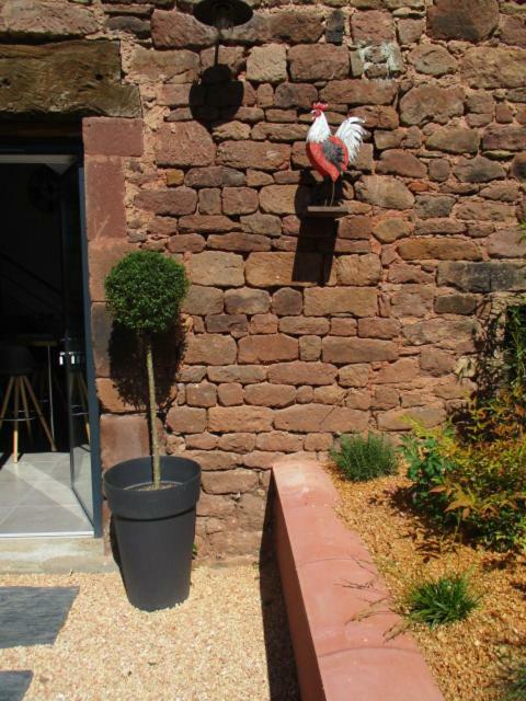 Villa La Ferme Du Duzou à Saint-Cyprien-sur-Dourdou Extérieur photo