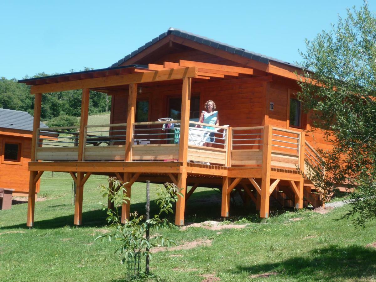 Villa La Ferme Du Duzou à Saint-Cyprien-sur-Dourdou Extérieur photo